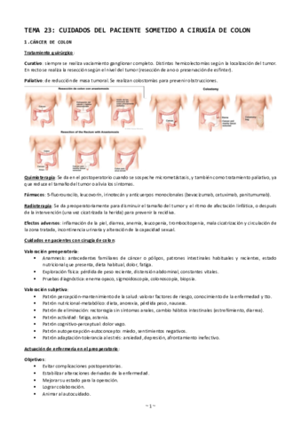 Tema-23-cuidados-del-paciente-sometidoa-cirugia-del-colon.pdf
