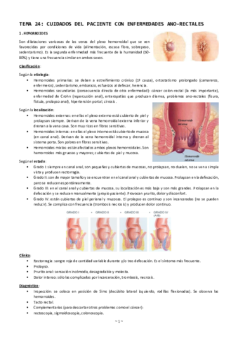 Tema-24-cuidados-del-paciente-con-enfermedades-ano-rectales.pdf
