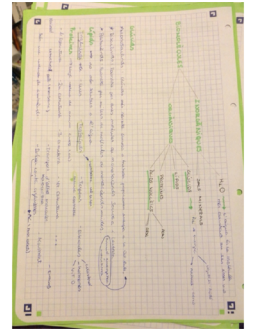 BIOMOLECULES.pdf