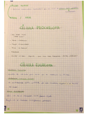 EUCARIOTAPROCARIOTA.pdf