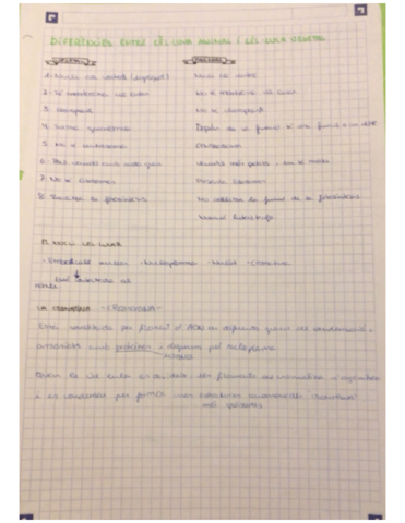 AnimalVegetal.pdf