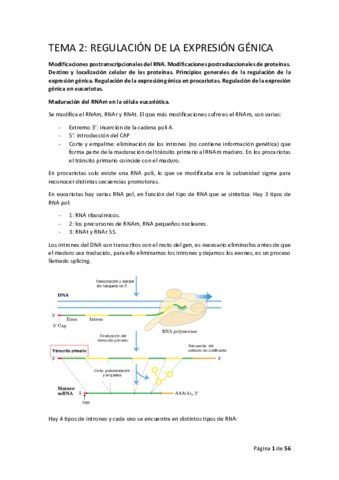 BIOQ-II-T2.pdf