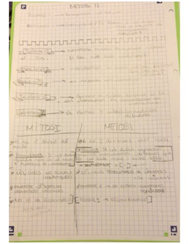 Fases.pdf