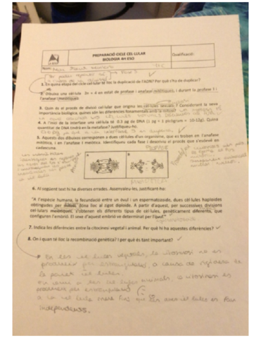 Preparacion-examen.pdf