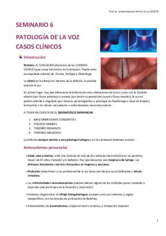Seminario-6-ORL-Patología de la voz
