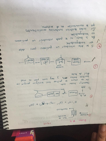 WhatsApp-Image-2019-09-29-at-16.jpg