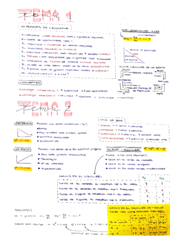 Documento-3.pdf