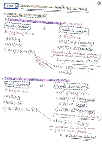 econometria-1-temas-5.pdf