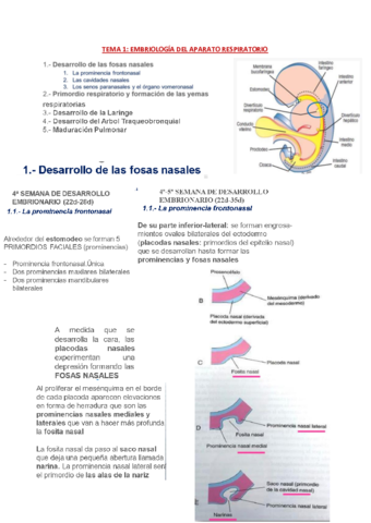 ANATO-III-TODOS-LOS-TEMAS.pdf