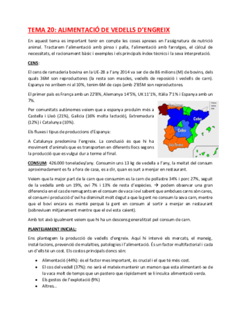TEMA-20.pdf