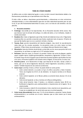 Tema-20.pdf
