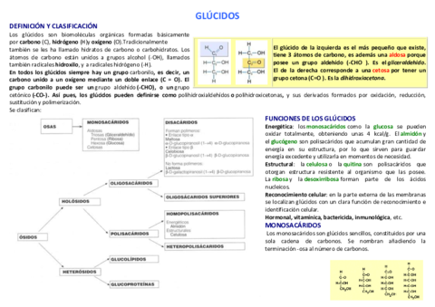 3-GLUCIDOS.pdf