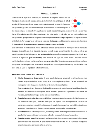 1-EL-AGUA.pdf