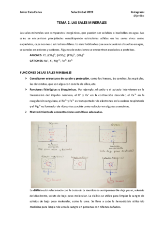 2-LAS-SALES-MINERALES.pdf