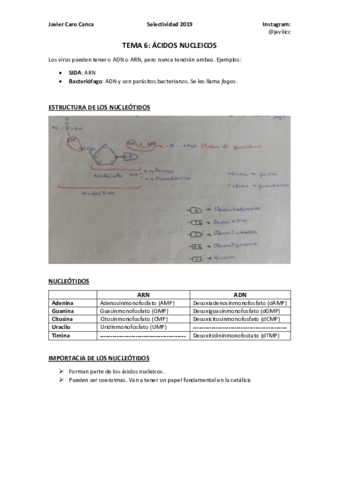 6-ACIDOS-NUCLEICOS-ampliacion.pdf