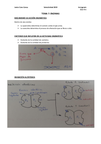 7-ENZIMAS-ampliacion.pdf