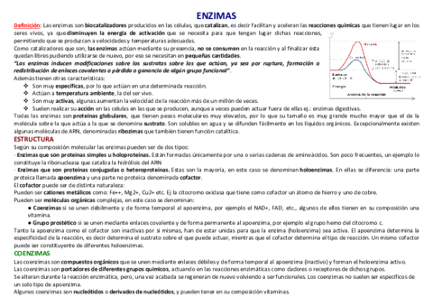 7-ENZIMAS.pdf