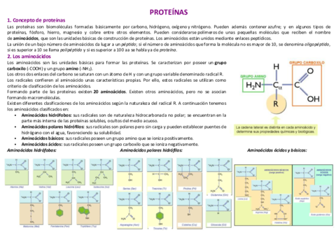 5-PROTEINAS.pdf