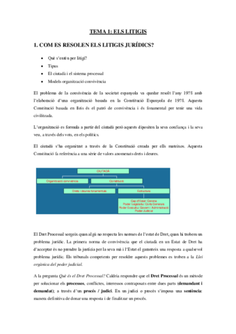 RESUMEN-FINAL-DERECHO-PROCESAL.pdf