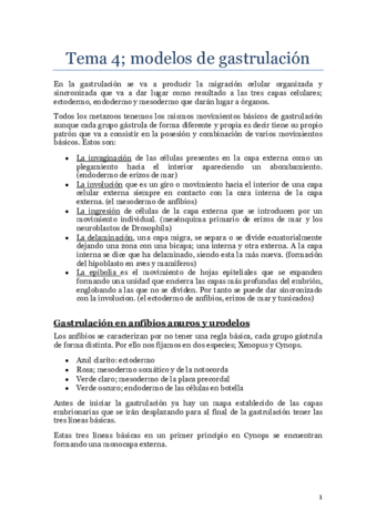 Tema 4.pdf