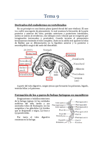 bdd Tema 9.pdf