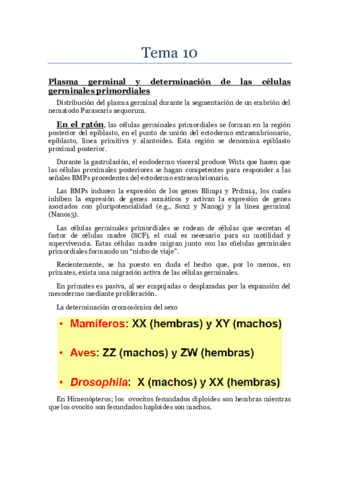 bdd Tema 10.pdf