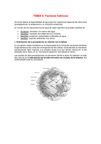 Tema-5-2020.pdf