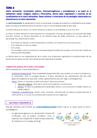 APUNTES-T6-Marta.pdf