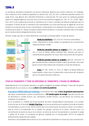 APUNTES-T3-Marta.pdf