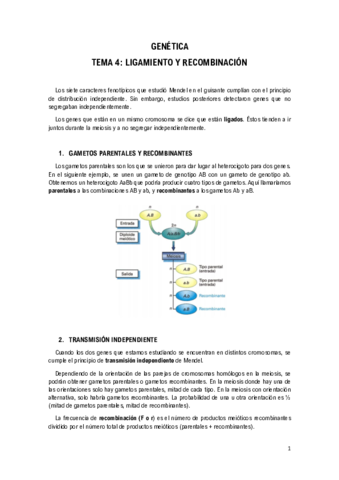 Tema-4-Ligamiento-y-Recombinacion.pdf