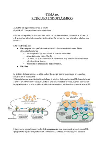 Tema10MGBio.pdf