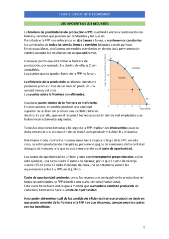 TEMA-3-TEORIA-ECONOMICA.pdf