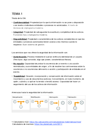 Resumen-seguridad-1-2.pdf