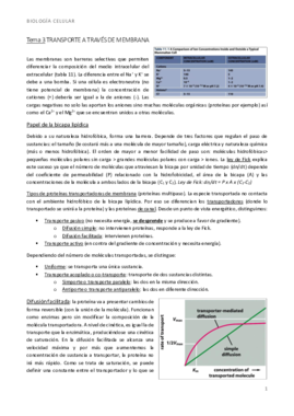 bio t3 transporte a través de membrana.pdf