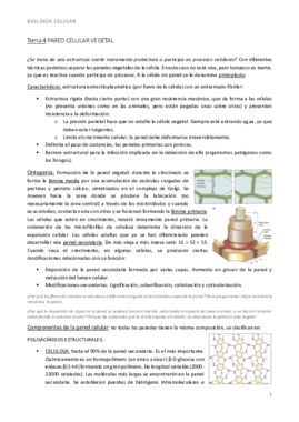 bio t4 pared vegetal.pdf