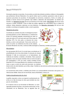 bio t6 citoesqueleto.pdf