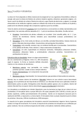 bio t7 fotosíntesis.pdf