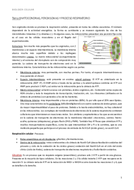 bio t8 mitocondrias y respiración.pdf
