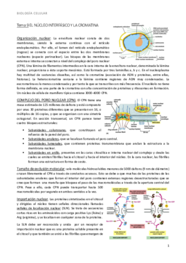bio t9 nucleo y cromatina.pdf