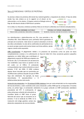 bio t10 ribosomas y síntesis de proteínas.pdf