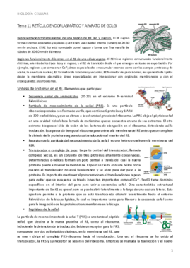 bio t11-12 retículo golgi lisosomas y vacuolas.pdf
