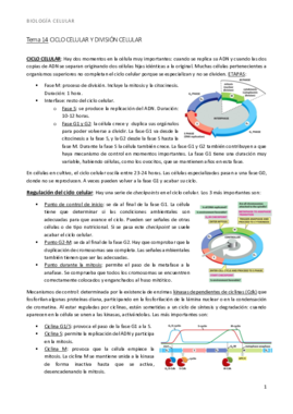 bio t14 mitosis.pdf