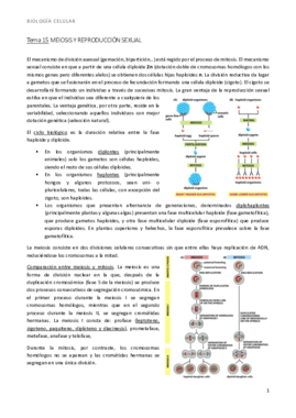 bio t15.pdf