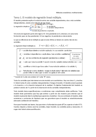 MEM-Tema-1.pdf