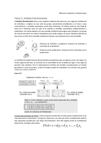 MEM-Tema-5.pdf