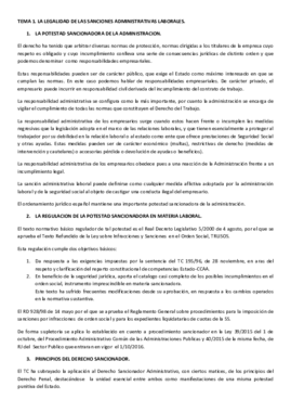 TEMA 1 DS.pdf