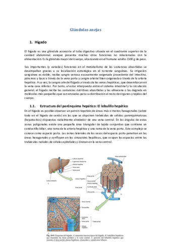 Tema-45-Glandulas-anejas-del-tubo-dijestivo.pdf