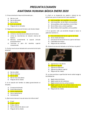 PREGUNTAS-EXAMEN-ANATOMIA-BASICA-ENERO-2020.pdf