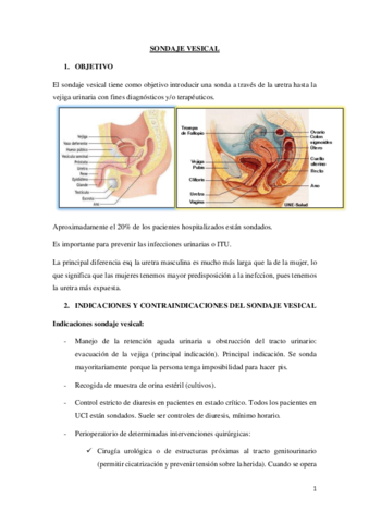 SONDAJE-VESICAL.pdf