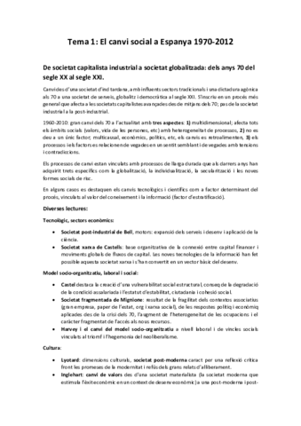 Apunts classe Estructura i canvi social a Espanya.pdf